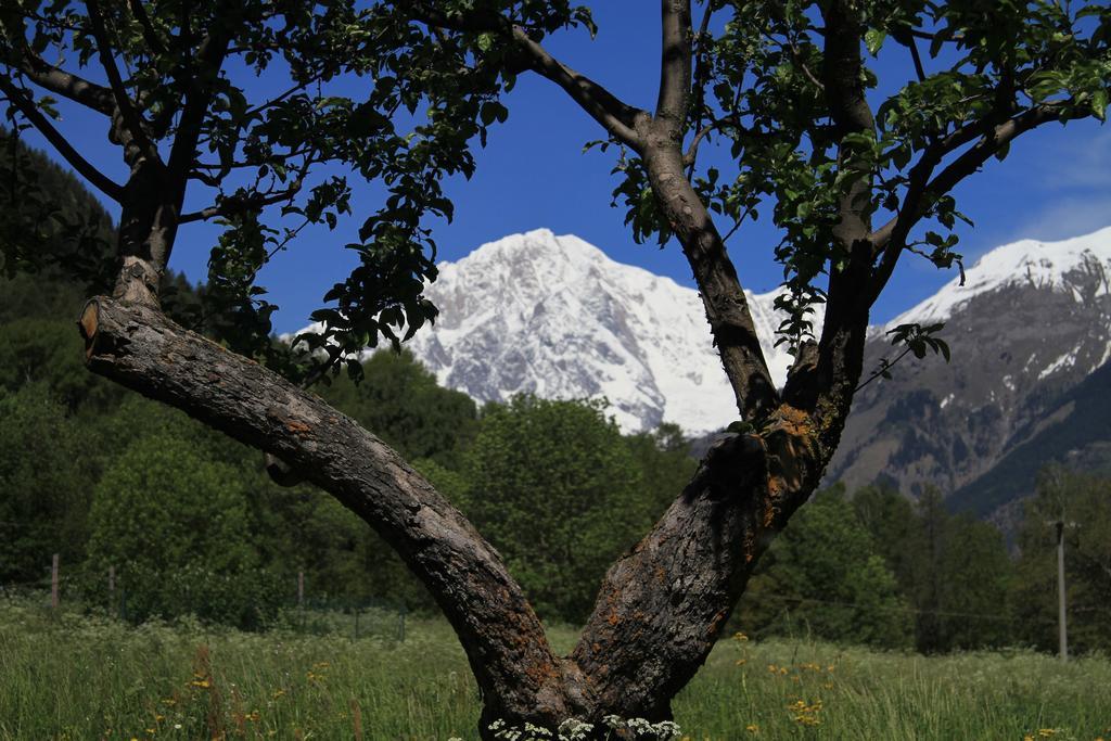 Le Petit Coeur Residence De Montagne La Salle Εξωτερικό φωτογραφία