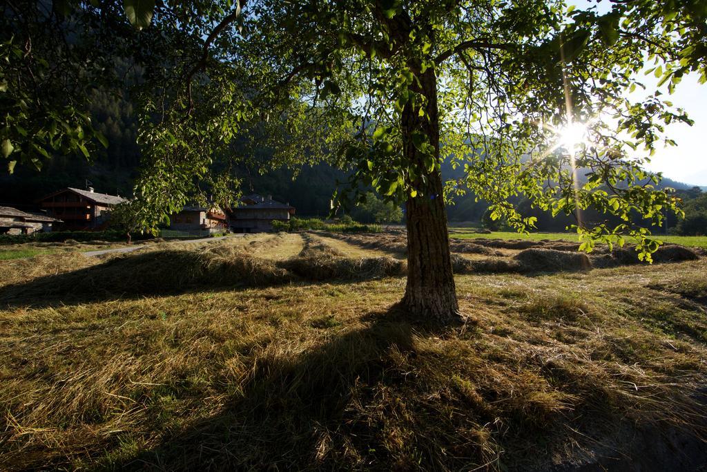 Le Petit Coeur Residence De Montagne La Salle Εξωτερικό φωτογραφία
